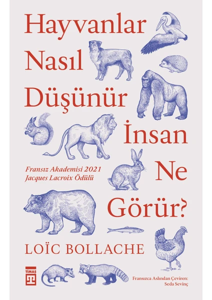 Hayvanlar Nasıl Düşünür Insanlar Ne Görür? - Loic Bollache