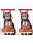 Science Plan Kuzulu Yetişkin Kedi Maması 3 kg 2 Adet 1