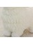 25 cm Simülasyon Peluş Koyun Oyuncak Dolması Hayvan Kuzu Keçi Bebek Oyuncakları Bebek Çocuk Çocuk Hediye Ev Dekorasyon El Sanatları | Doldurulmuş ve peluş Hayvanlar 3