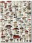 Mantar Türleri Botanik Şema 120 Parça Puzzle Yapboz Mdf (Ahşap) 1