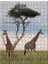 Afrikada Çift Zürafa Görseli 120 Parça Puzzle Yapboz Mdf (Ahşap) 1