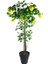 Yapay Limon Ağacı 130CM 8 Limonlu Doğal Görünümlü Siyah Plastik Saksılı Yapay Ağaç 2