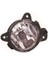 Sis Lambası Sol Polo 05-08 Crafter 06-16 T5 03-10 Fabia 05-14 1