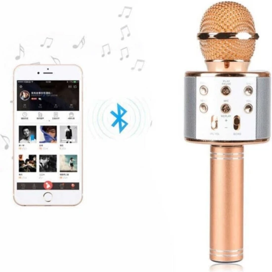 WS-858 Karaoke Mikrofon