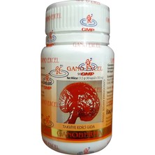 Gano Excel Ganoderma Kırmızı Reishi Mantarı