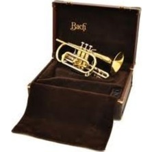 Bach 184L Kornet