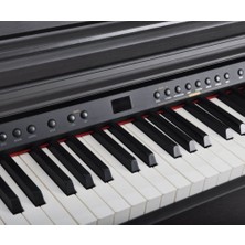 Artesia DP-3-SR Gülağacı - Dijital Piyano