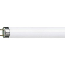 Philips Amp.Flore.T8  36W Snow