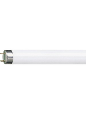 Philips Amp.Flore.T8  36W Snow