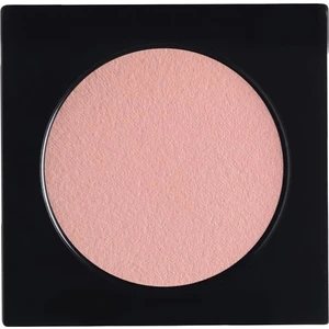 Diego Dalla Palma Matt Eye Shadow 154 Pale Pink