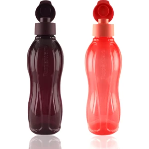 Eko Şişe 750 Ml Bordo Ve 750 Ml Mercan