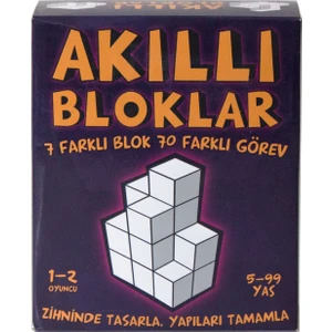 Akıllı Bloklar Zeka Oyunu