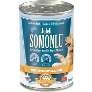 Jöleli Somonlu Yaş Yetişkin Köpek Maması 400 Gr