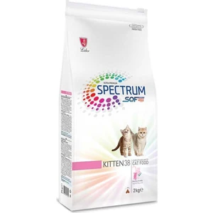 Kitten 38 Yavru Kedi Maması 4 kg Açık