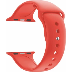 Apple Watch Uyumlu 42 mm Seri 1 2 3 Silikon Kordon Kayış