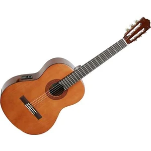 Cx40 Elektro Klasik Gitar Kılıf Ve Pena