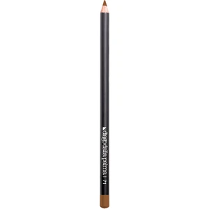 Diego Dalla Palma Lip Pencil 71