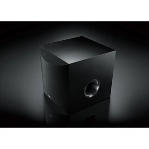 Ns-Sw100 Subwoofer