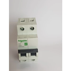 Schneider Electric Ez9F43232 3Ka 32A C Eğrisi 2P Otomatik Sigorta