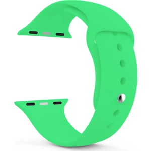 Apple Watch Uyumlu Series 4 44mm Silikon Kordon