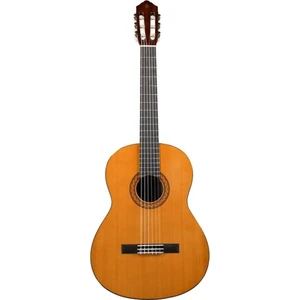 C40 Klasik Gitar (Natural)
