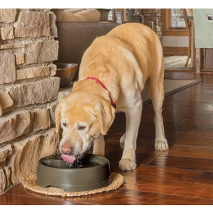 Pet Safe Drinkwell  Current Büyük  Boy Su Pınarı   3.5 Litre