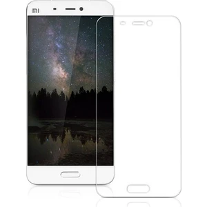 Xiaomi Mi 5S Plus Cam Ekran Koruyucu
