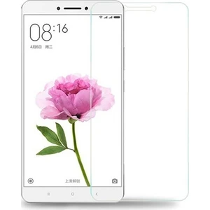 Xiaomi Mi Max 2 Cam Ekran Koruyucu