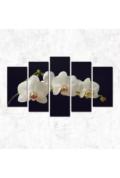 7Renk Dekor Beyaz Çiçekler Dekoratif 5 Parça Mdf Tablo