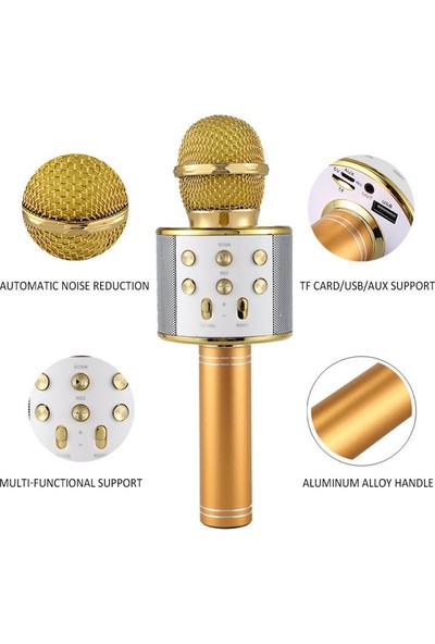 Wster Ws-858 Karaoke Mikrofon Bluetooth Hoparlör Aux Usb Mikro Sd Kart Girişli