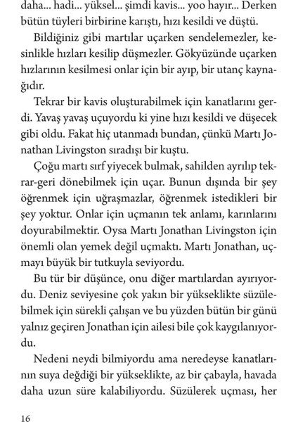 Martı Jonathan Livingston - Richard Bach