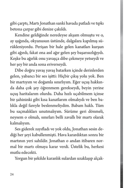 Martı Jonathan Livingston - Richard Bach