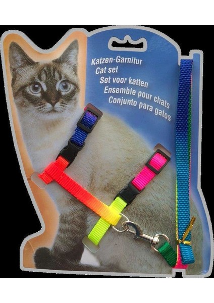 Ab101-10 Kedi Göğ.Tas.Ve Gez. Seti