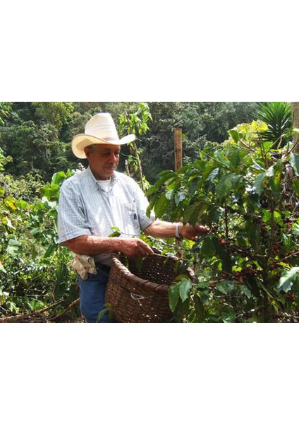 Kosta Tres Nubes Shp Ep Arabica Çiğ Kahve Çekirdeği - 100 Gr fiyatları