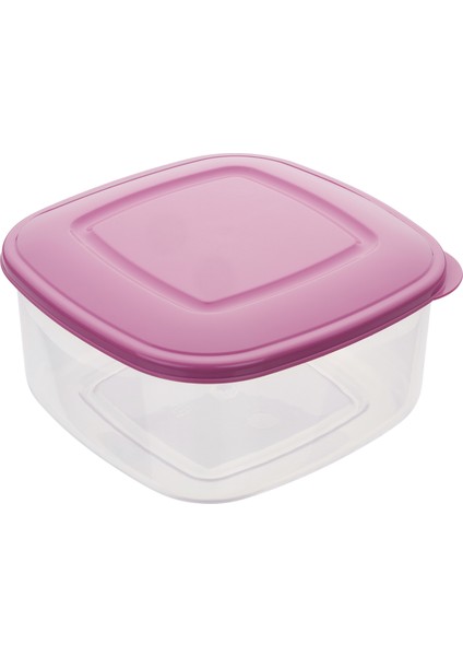 Köşeli Saklama Kabı 2.30 Litre BO805