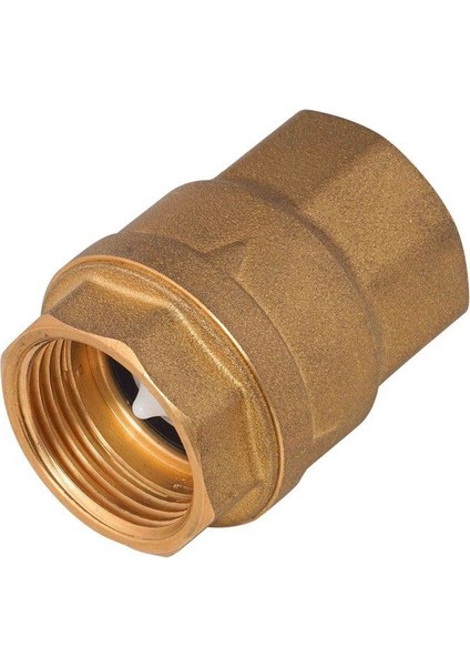 1 1/4" Yaylı (Dik) Çekvalf Sessiz
