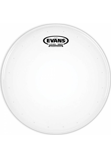 B14HDD 14 Inc Trampet Derisi