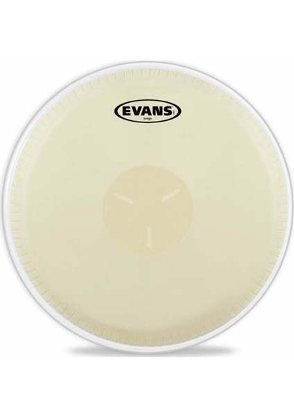 EB0709 Bongo Derisi