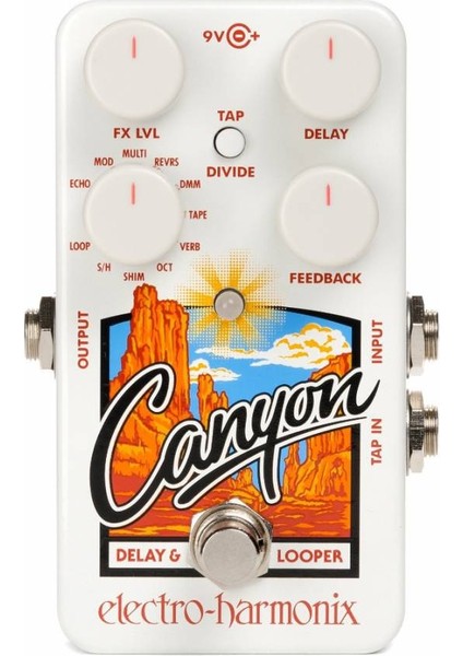 Electro Harmonix Canyon & Looper Pedalı