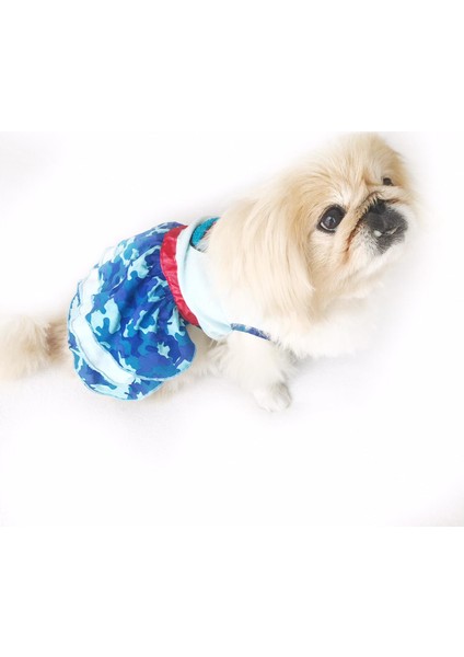 Teddy Blue Köpek Elbisesi Köpek Kıyafeti modelleri
