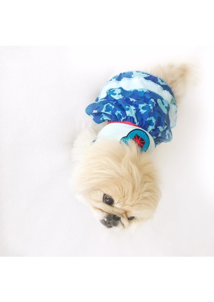 Teddy Blue Köpek Elbisesi Köpek Kıyafeti indirimleri