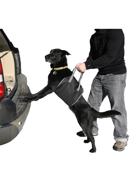 Araç Arkası Köpek Koyma Aparatı 424691
