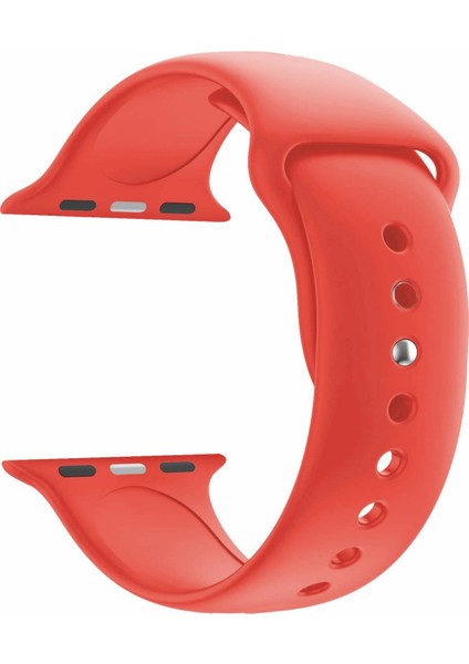 Apple Watch Uyumlu 42 mm Seri 1 2 3 Silikon Kordon Kayış