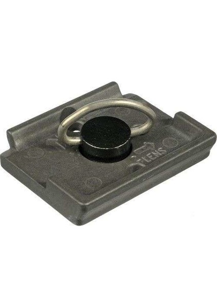200Pl Plate