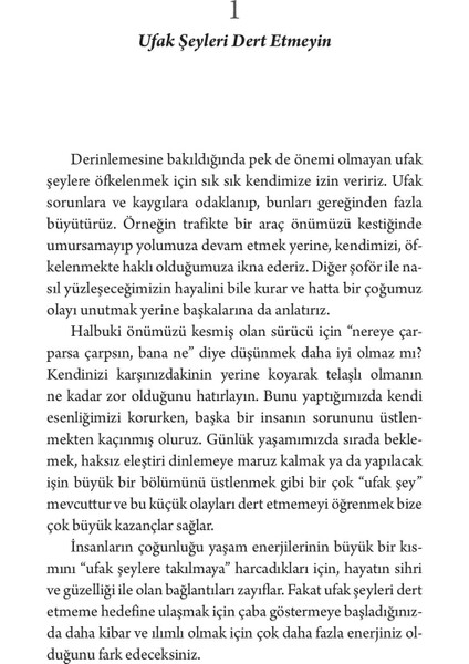 Ufak Şeyleri Dert Etmeyin - Richard Carlson