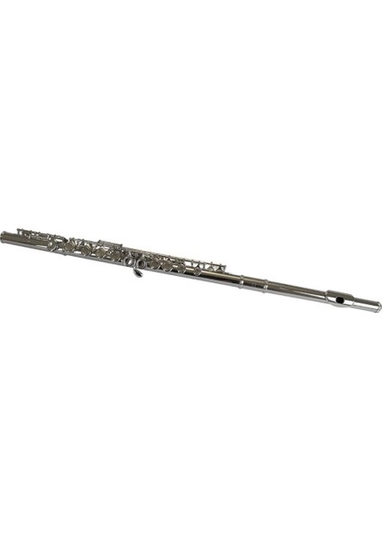 Fl110N Yanflüt (Nikel) fiyatları