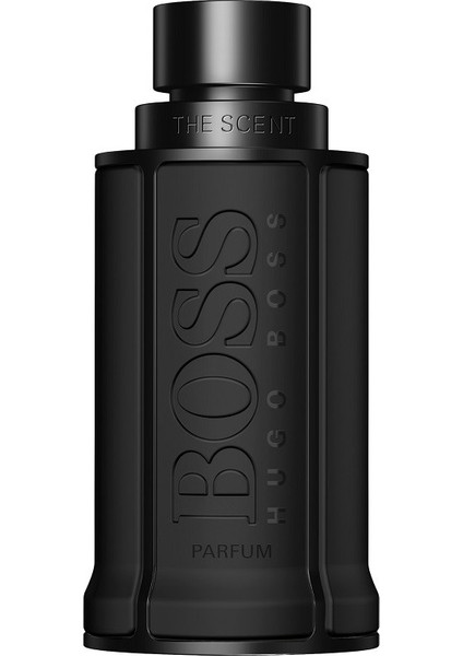 The Scent Parfum For Him Edp 100 Ml