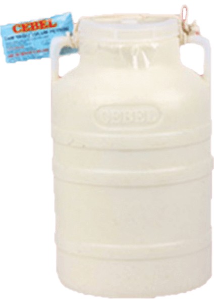 Tam Yağlı Bidon Tulum Peynir Sade 7 kg