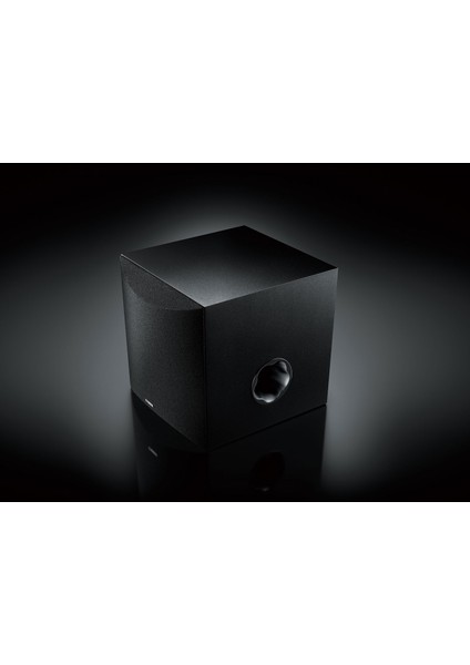 Ns-Sw50 Subwoofer