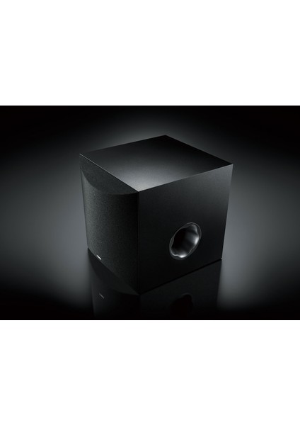 Ns-Sw100 Subwoofer